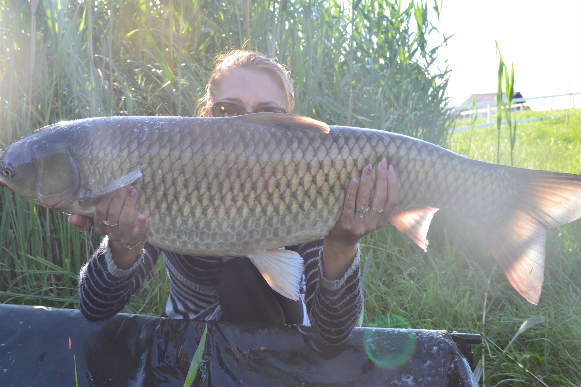 Pescuit Balta Lazar 6-8 iunie 2014 - dsc0022.JPG